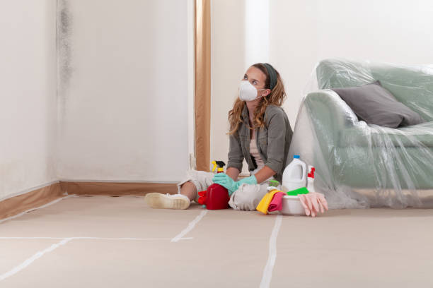 Reliable Mold Cleanup contractor in Ebony, VA by Cheap Mold Removal